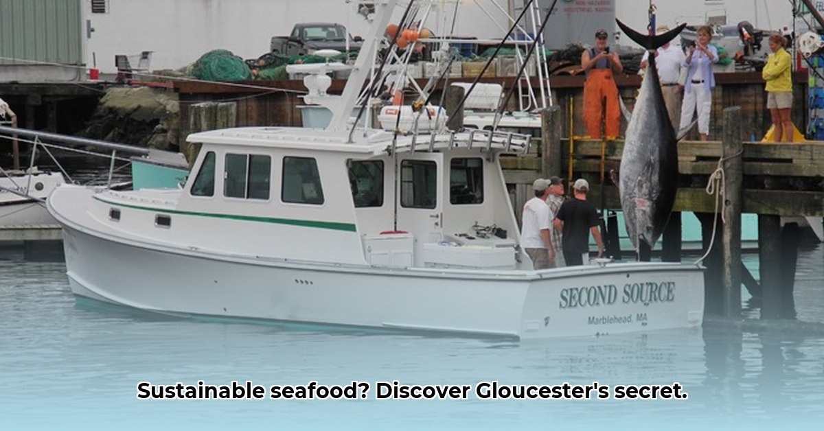 intershell-gloucester-massachusetts